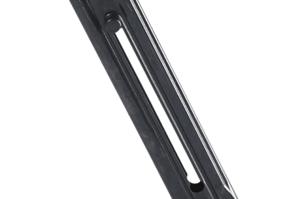 .22LR Buckmark