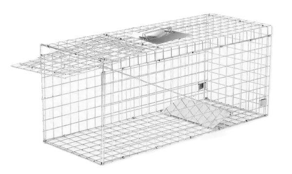 animal cage trap